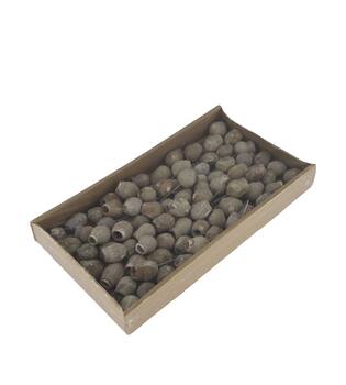 Bellgums on wire stem 80pc in tray 36x20x5cm - White