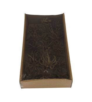 Spidergum claws on wire stem 20pc in tray 36x20x5cm