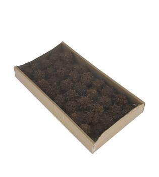 Spidergum knobs on wire stem 35pc in tray 36x20x5cm - Natural