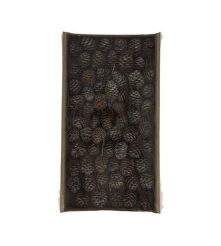 Muirrii on wire stem 60pc in tray 36x20x5cm - Natural