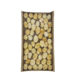 Muirrii on wire stem 60pc in tray 36x20x5cm