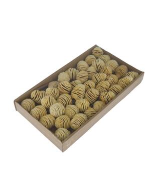 Platyspermum on wire stem 40pc in tray 36x20x5cm