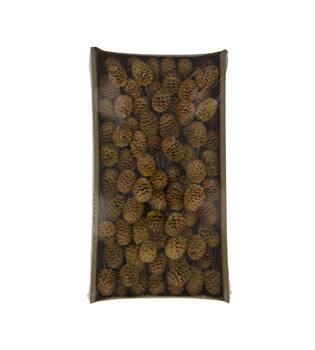 Sabulosum on wire stem 80pc in tray 36x20x5cm - Natural