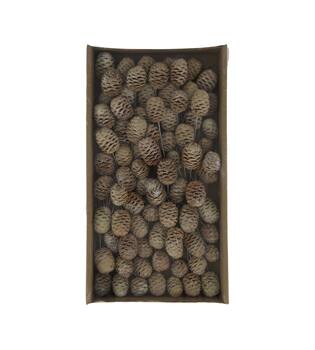 Sabulosum on wire stem 80pc in tray 36x20x5cm - White