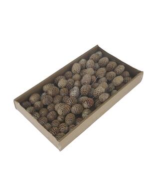 Sabulosum on wire stem 80pc in tray 36x20x5cm - White