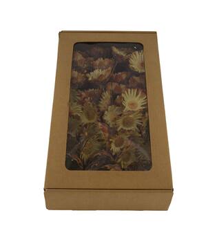 Protea compacta flats on wire stem 50pc in tray 36x20x7cm - Cream