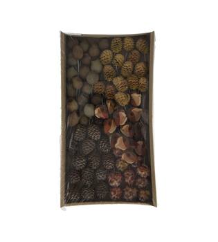 Leucodendron assortment on wire stem 80pc in tray 36x20x7cm - Natural