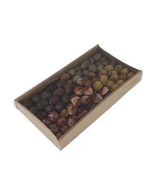 Leucodendron assortment on wire stem 80pc in tray 36x20x7cm - Natural