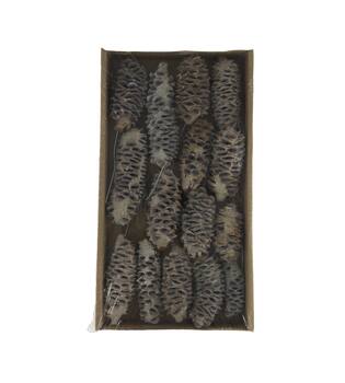 Mealy pod on wire stem 15pc in tray 36x20x5cm - White