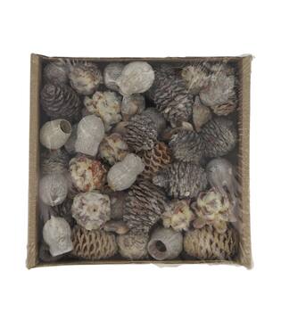 Leucondendron loose 400gr 19x19x5cm