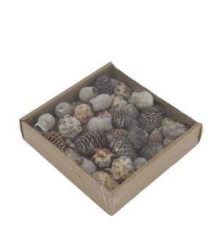 Leucondendron loose 400gr 19x19x5cm