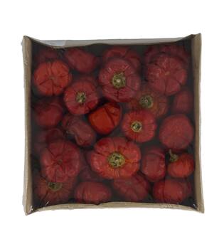 Pumpkin mini nature 19x19x4.5cm 200gr
