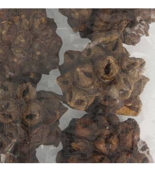Spidergum knobs loose 250gr 28x12x6cm