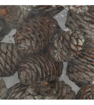 Muirrii loose 250gr 28x12x4cm - Natural