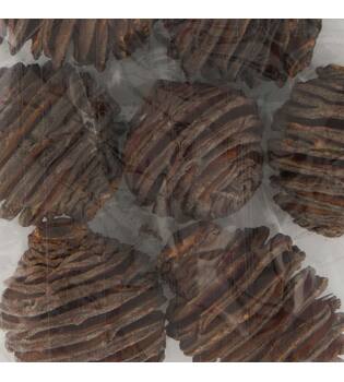 Platyspermum heads medium loose 250gr 28x12x6cm - Natural