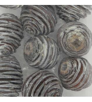 Platyspermum heads medium loose 250gr 28x12x6cm - White