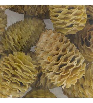 Sabulosum heads loose 250gr 28x12x3cm