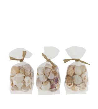 Shell mix nature 10x5x13cm - Natural
