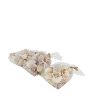 Shell mix nature 10x5x13cm - Natural