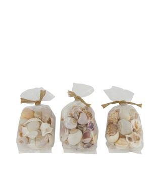 Shell mix nature 10x5x13cm  - Natural