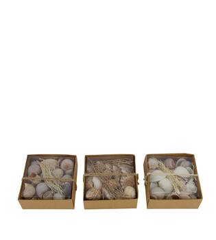 Shell mix nature 12x12x5.5cm A3 - Natural