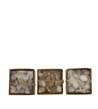 Shell mix nature 12x12x5.5cm A/3