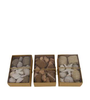 Shell mix nature 18x12x6cm A/3