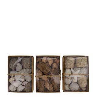 Shell mix nature 18x12x6cm A/3