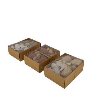 Shell mix nature 18x12x6cm A3 - Natural