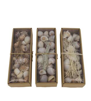 Shell mix nature 27x9x6cm  - Natural