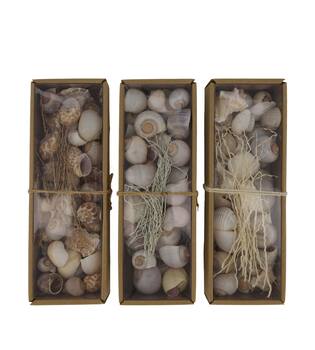 Shell mix nature 27x9x6cm  - Natural