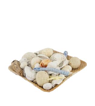 Potpourri with acacia plate nature 25.5x25.5x8cm - Multi