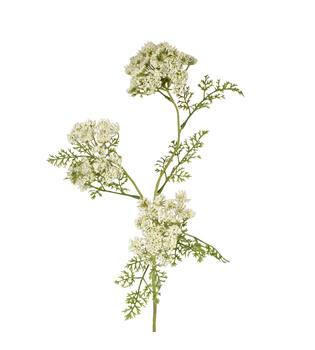 Branch dill artificial 75x20x12cm - White