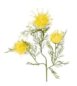 Branch chrysanthemum artificial 68x20x8cm - Yellow