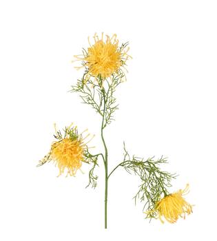 Branch chrysanthemum artificial 68x20x8cm - Orange