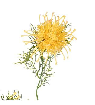 Branch chrysanthemum artificial 68x20x8cm - Orange