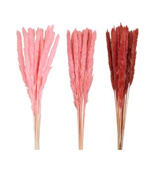 Pampas grass 70x11x4cm C3 - Pink