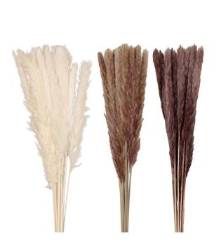 Pampas grass 70x11x4cm C3 - Natural