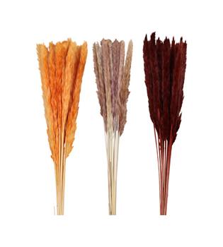 Pampas grass 70x11x4cm C3 - Orange