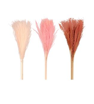 Miscanthus nature 70x15x4cm 10pc C3 - Pink