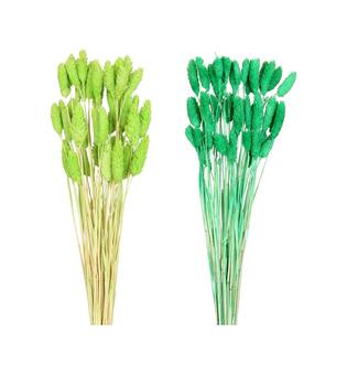 Phalaris nature 60x10x5cm 50pc C2 - Green