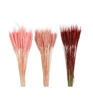 Wheat grass 60x12x6cm 50pc C3 - Pink