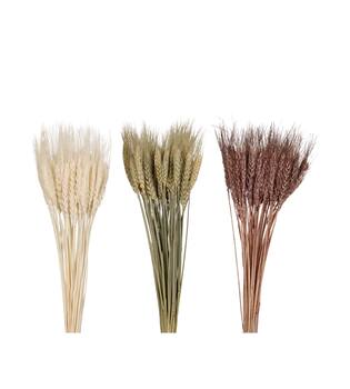 Wheat grass 60x12x6cm 50pc C3 - Natural