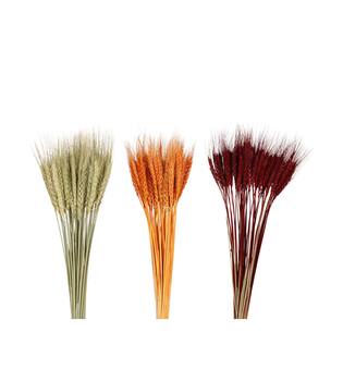 Wheat grass 60x12x6cm 50pc C3 - Orange