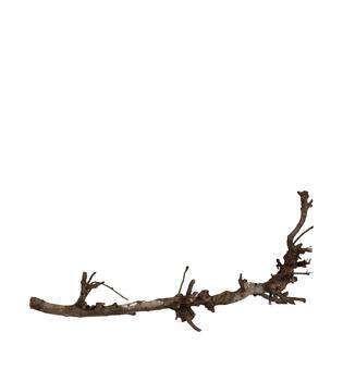 Branch pear 80cm - Natural