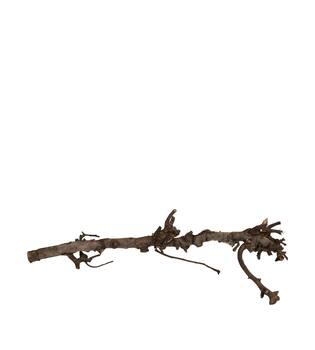 Branch pear 80cm - Natural