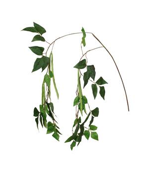 Branch beans artificial 162.5x30x5cm - Green