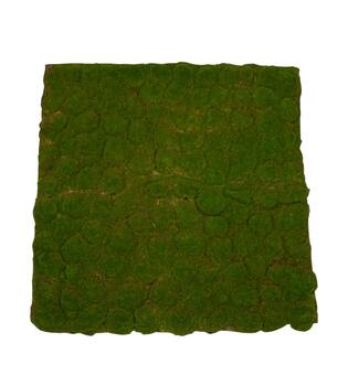 Moss sheet with adhesive edge PU 100x100x4cm