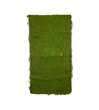 Moss sheet PU 200x100x4cm - Green