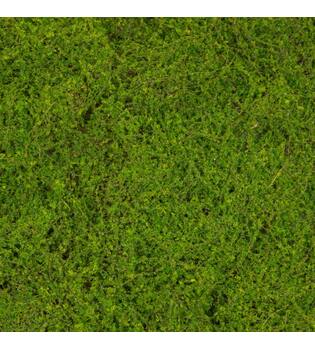 Moss sheet PU 200x100x4cm - Green